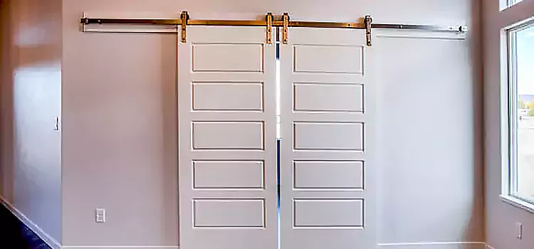 Glass Barn Door with Installation Hardware Kit Middletown